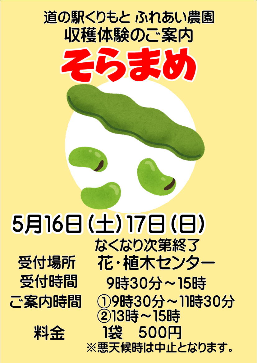 5/16(土)、17(日) 収穫体験”空豆”　